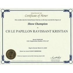 UKC Champion