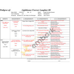 5 generation pedigree for Lighthouse Forever Laughter.  Field champions and field trial winners in red.