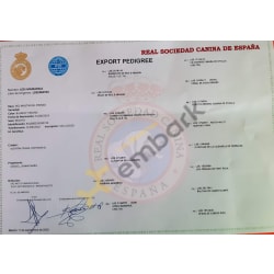 Registration - Spain