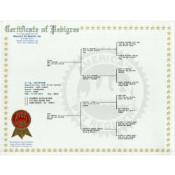 Dads pedigree