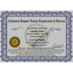 ESA Registration 