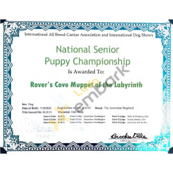 IABCA National Senior Puppy Championship