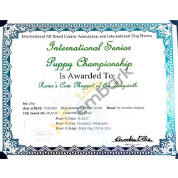 IABCA International Senior Puppy Championship