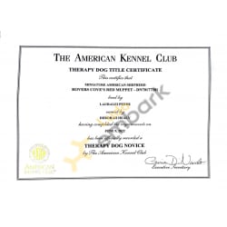 AKC Therapy Dog Novice Title Certificate