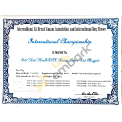 IABCA International Championship