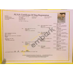 Breeder Certificate (ALAA CERTIFICATE OF DOG REGISTRATION)