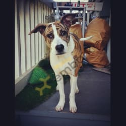 Maeby, she kept the seniors active, and I am positive that Maeby's presence kept the girls. young. 