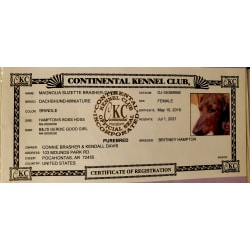 CKC Registry