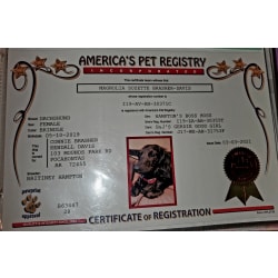 APRI Registry 