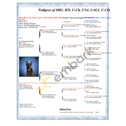 More titles since this was made but at least the pedigree is here. 
