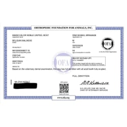 OFA Dentition - Full
