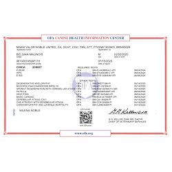 OFA Health Tests - CHIC #209057