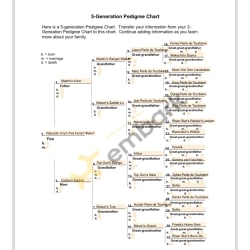 Pedigree for Visual Purpose
