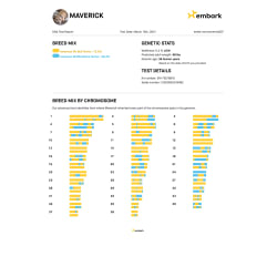 Maverick’s Full Embark Report