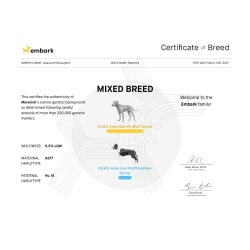 Certificate of Breed