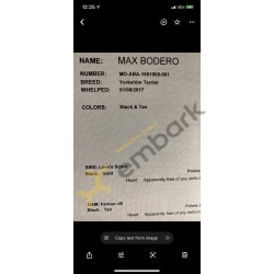Max pedigree certificate 