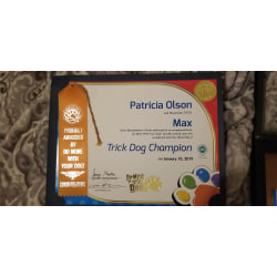 Trick Dog Champion 