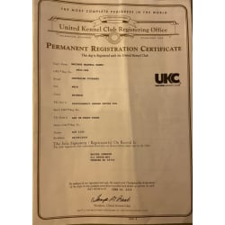 UKC Registration