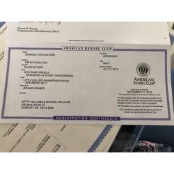 Akc registration