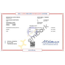 Chic certificate 