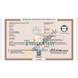 OFA Eye Certification 