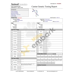 Strong Furnishings results from Animal Genetics