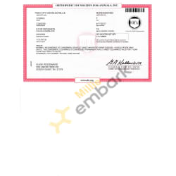 OFA Heart Certificate