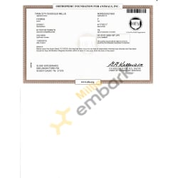 OFA Eye Certificate
