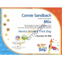 Novice Masters Trick Dog