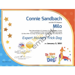 Expert Masters Trick Dog