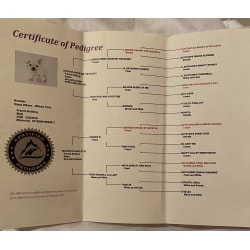 Pedigree certificate 
