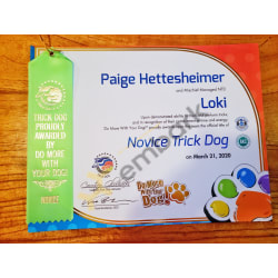 Novice Trick Dog Title