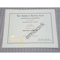 AKC TKA Title