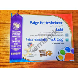 Intermediate Trick Dog Title