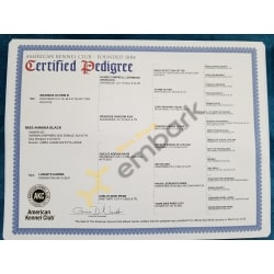 Certified Pedigree