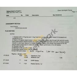 Cryptorchidism on right testicle, left side routine. Microchipped, Heartworm Test Negative.