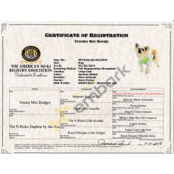Tesoro Mio Moshe "Moses" AMRA Registration/Pedigree