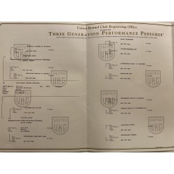 UKC pedigree