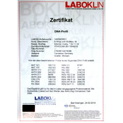 Ninja - DNA Profile Laboklin