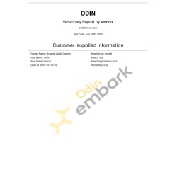 Odin’s Vet Report