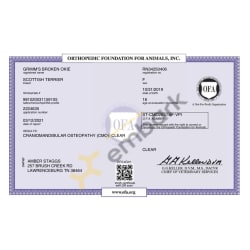 CMO OFA Certificate