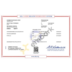 CHIC Registry Certificate