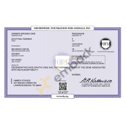 DM OFA Certificate