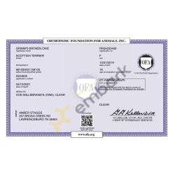 VWD OFA Certificate