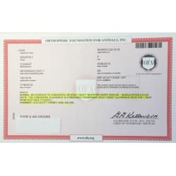 OFA  - Heart Certification