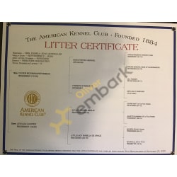 Oliver’s AKC litter certification 
