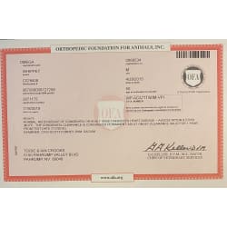 OFA Cardiac Certificate 