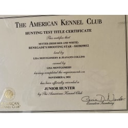 AKC Junior Hunter certificate