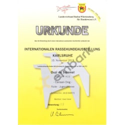 V1 - Excellent 1 - Certificate of IRAS 