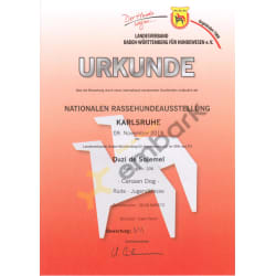 V1 - Excellent 1 - Certificate of NRAS 